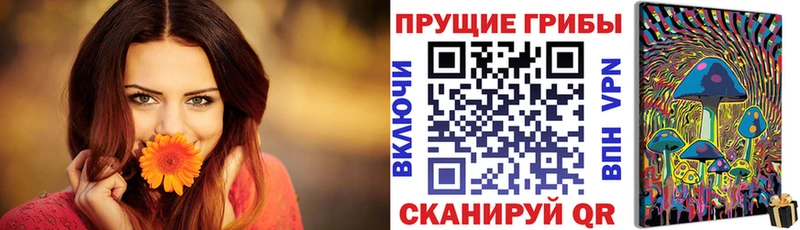 Купить закладки  Гай  Галлюциногенные грибы ЛСД 